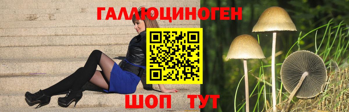 Галлюциногенные грибы мицелий Звенигород